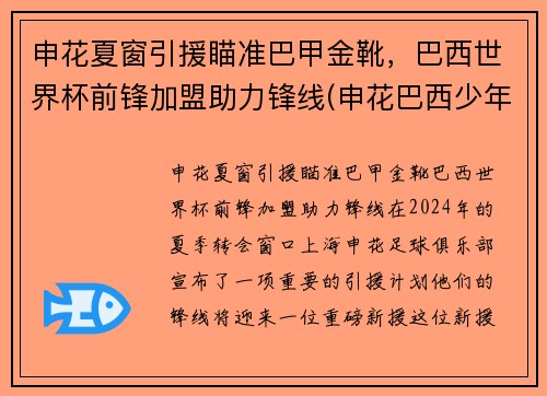 申花夏窗引援瞄准巴甲金靴，巴西世界杯前锋加盟助力锋线(申花巴西少年队)