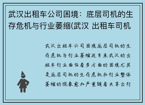 武汉出租车公司困境：底层司机的生存危机与行业萎缩(武汉 出租车司机)