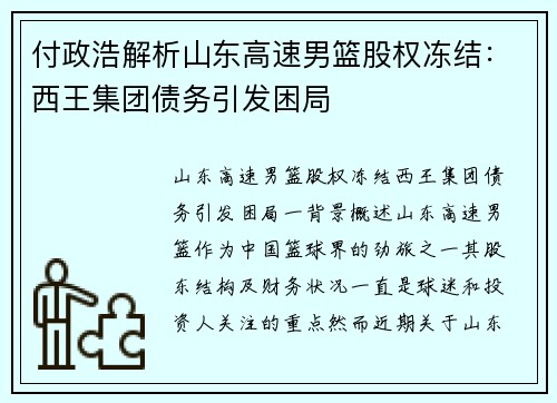 付政浩解析山东高速男篮股权冻结：西王集团债务引发困局